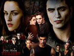 Twilight New Moon