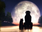 TWO FRIENDS IN THE MOONLIGHT