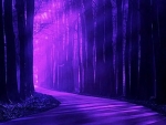 Purple Forest Light