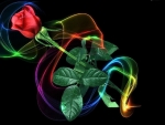 Abstract Rose