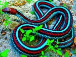 blue snake