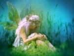 ~Fairy in the Grass~