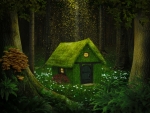 House in enchanted forest