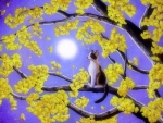 Kitten in Gingko