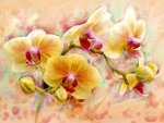 Orchids art