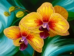 Yellow orchids