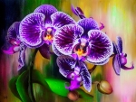 Purple orchids art