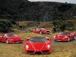 A Herd of Red Ferraris