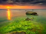 Rocky beach at sunrise