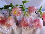 Tulips and lace