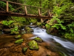 Forest cascades