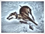 Greyhound, Abstract