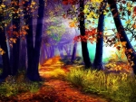 Colorful Autumn Forest