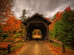 Covered Bridge In Autumn