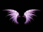 Purple Angel Wings