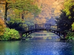 Bridging Autumn