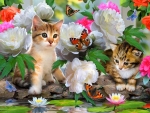 Flowers and kittens