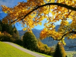 View of autumn mountain