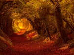 Golden autumn tunnel