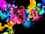 Colorful Flowers F