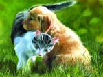 Perfect Friendship - Pets F