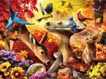 Autumn Birdbath F