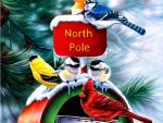 North Pole FC