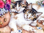 Sleeping Calico Cats F