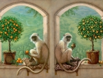 Monkey Orange and Pear Trees