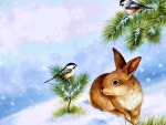 Rabbit and Chickadees F