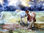 White and Paint Horses