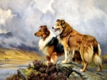 Collies on the Lake FC