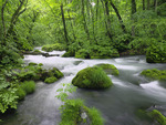 Landscape from Japan