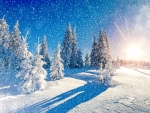 Snowy landscape