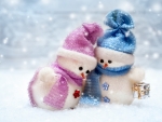 Winter Snowman ♥