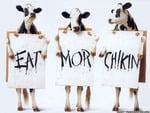 eat chikin