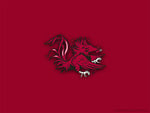 South Carolina Logo