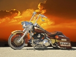 Harley at Sunset