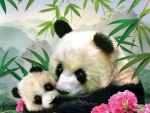 Mountain Panda