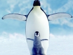 Penguin and Chick