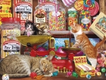 Paw Drops and Sugar Mice