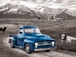 1954 Ford F-100