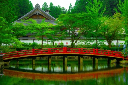 Japanese garden - pretty, nature, red, green, HD, park, bridge