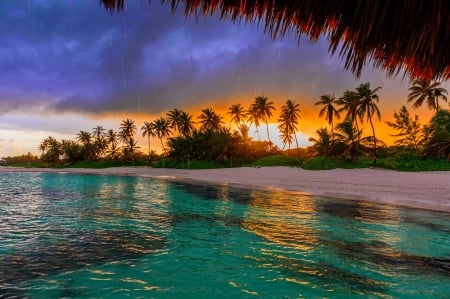 Tropical beach - palms, beach, beautiful, sea, ocean, reflection, sunset, tropical, exotic, sky