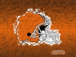 NFL Cleveland Browns