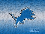 NFL Detroit Lions