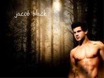 Jacob Black