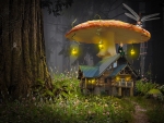 Gnome at Home