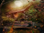 The Witches House