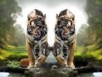 Tiger Twins
